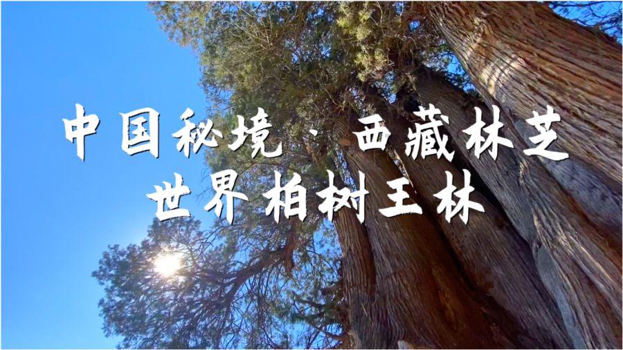 看了本赛季CBA30轮常规赛,才发现争冠集团呈现4+1混战局面